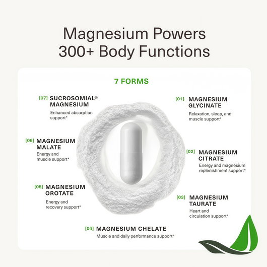 BIOptimizers Magnesium Breakthrough 500mg, 7 Forms of Magnesium 90 Capsules Glycinate, Malate, Citrate & More for Restful Sleep, Stress Resilience & Muscle Recovery